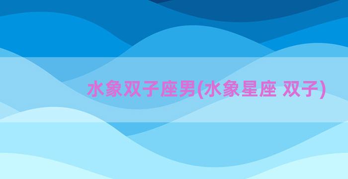水象双子座男(水象星座 双子)